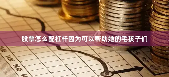 股票怎么配杠杆因为可以帮助她的毛孩子们