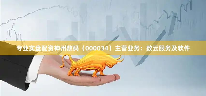 专业实盘配资神州数码（000034）主营业务：数云服务及软件