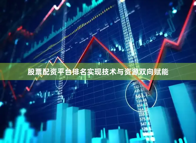 股票配资平台排名实现技术与资源双向赋能
